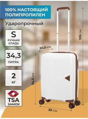 ручная кладь 55х40х20