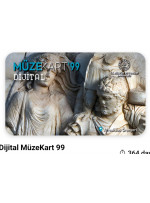 Эта карта называется Müzekart'99 Digital